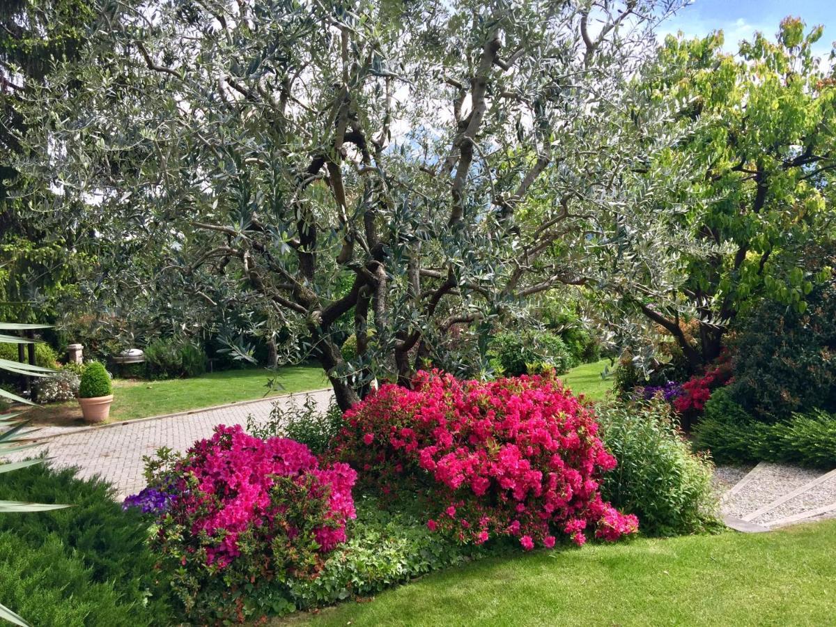 Abies Lago Di Como Dongo Eksteriør billede