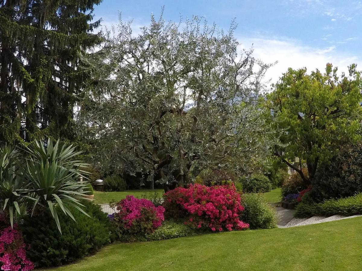 Abies Lago Di Como Dongo Eksteriør billede